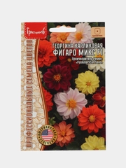 Георгина карликовая Фигаро Микс F1 (семена,цветы)