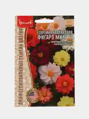 Георгина карликовая Фигаро Микс F1 (семена,цветы)