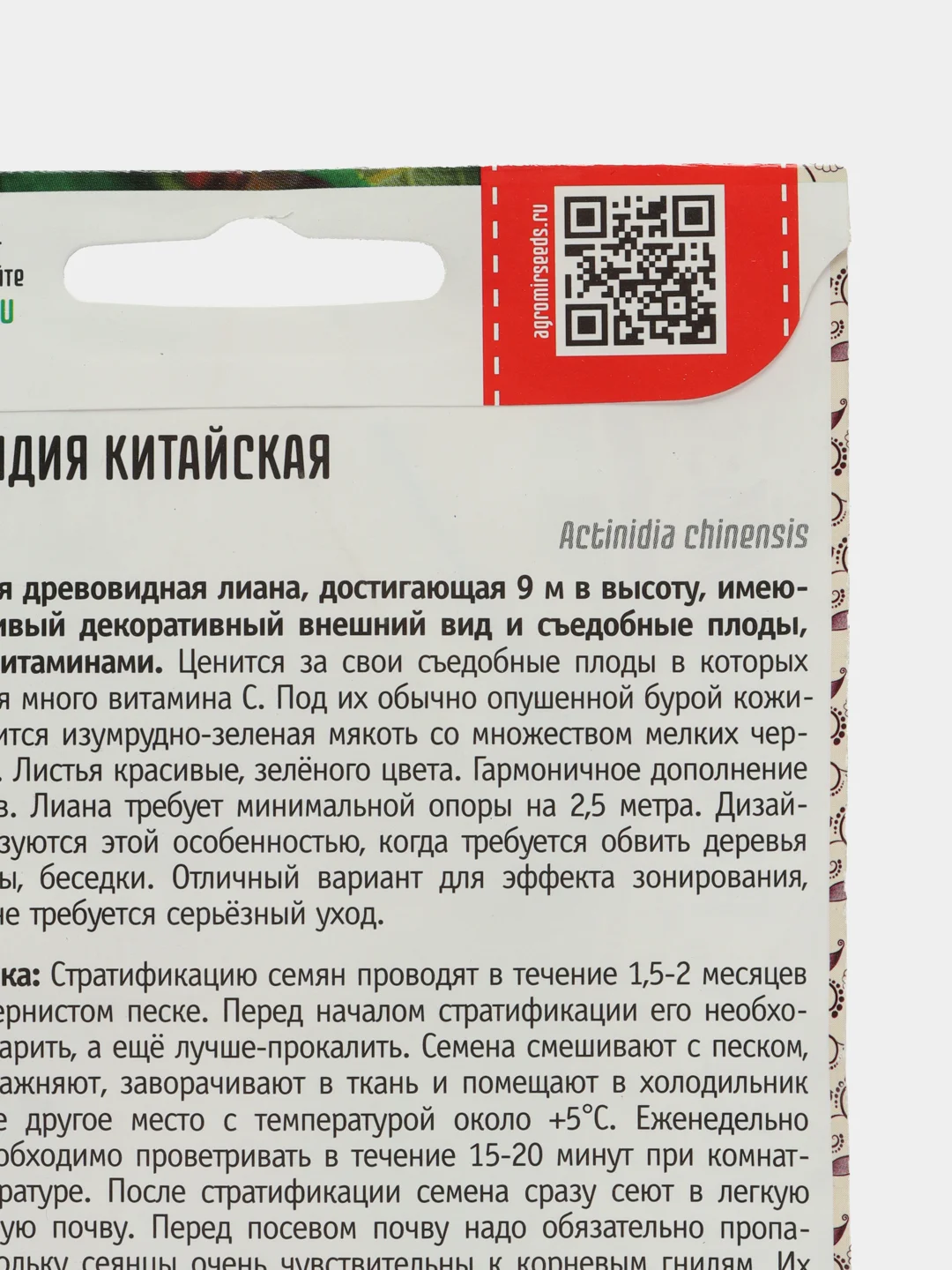 Актинидия китайская Киви (семена,цветы)