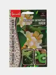 Актинидия китайская Киви (семена,цветы)