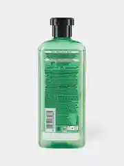 Шампунь Herbal Essences Защита цвета и блеск алоэ и манго, 380 мл