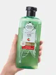 Шампунь Herbal Essences Защита цвета и блеск алоэ и манго, 380 мл