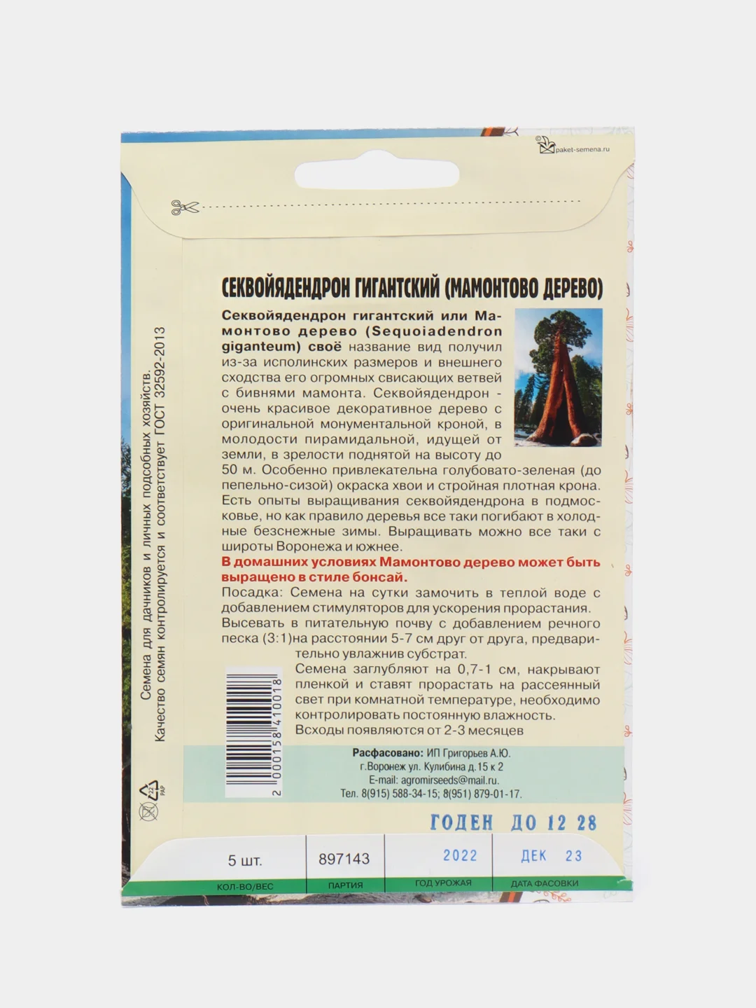 Секвойядендрон гигантский (Мамонтово дерево) семена