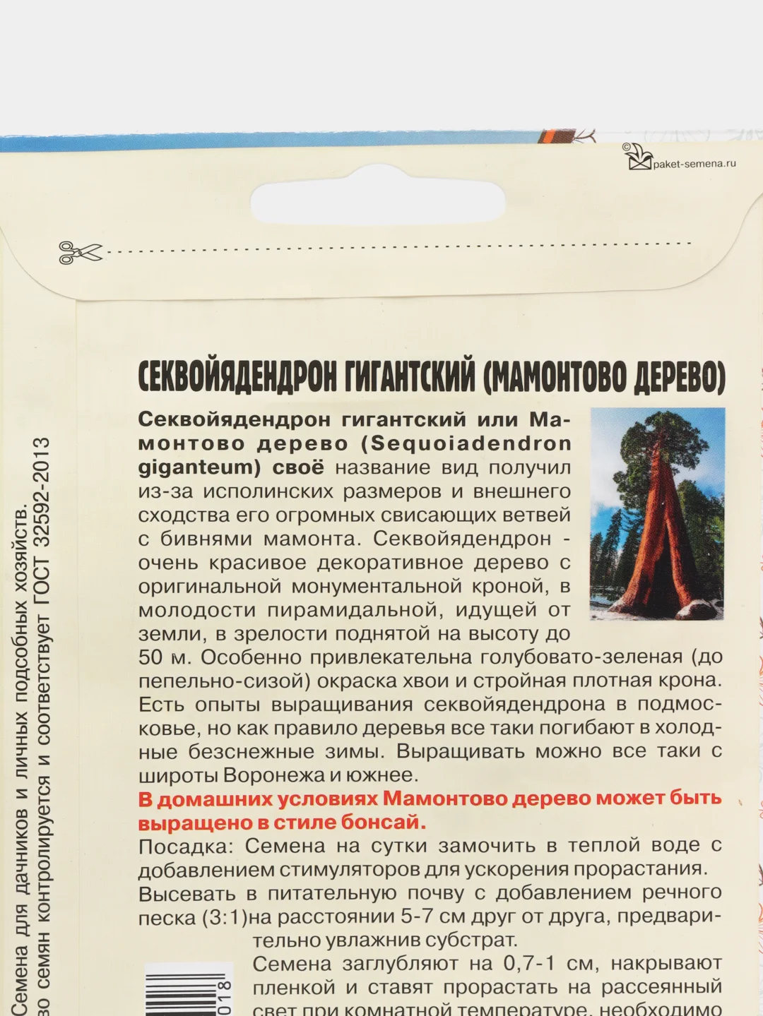 Секвойядендрон гигантский (Мамонтово дерево) семена