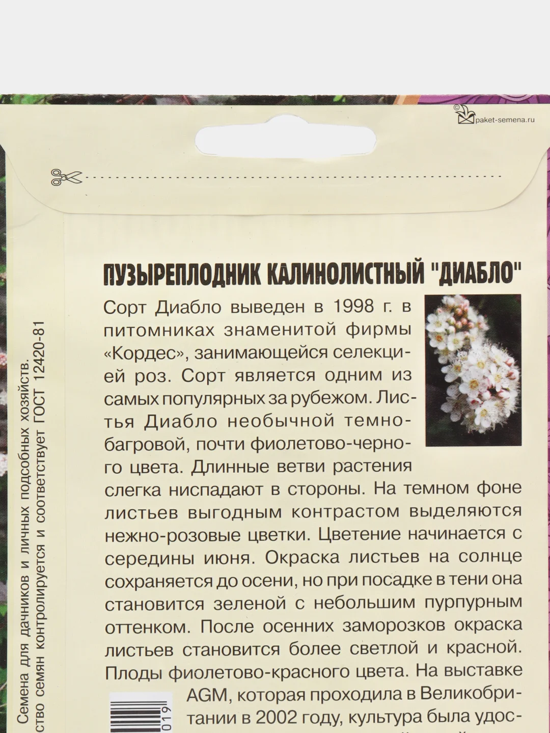 Пузыреплодник калинолистный "Диабло" (семена)