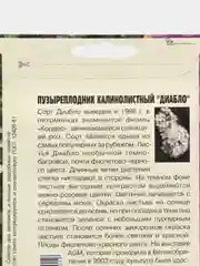 Пузыреплодник калинолистный "Диабло" (семена)