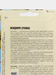 Псидиум (Гуава) семена