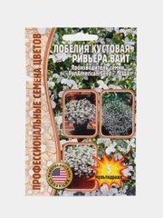 Лобелия кустовая Riviera White F1 (семена)
