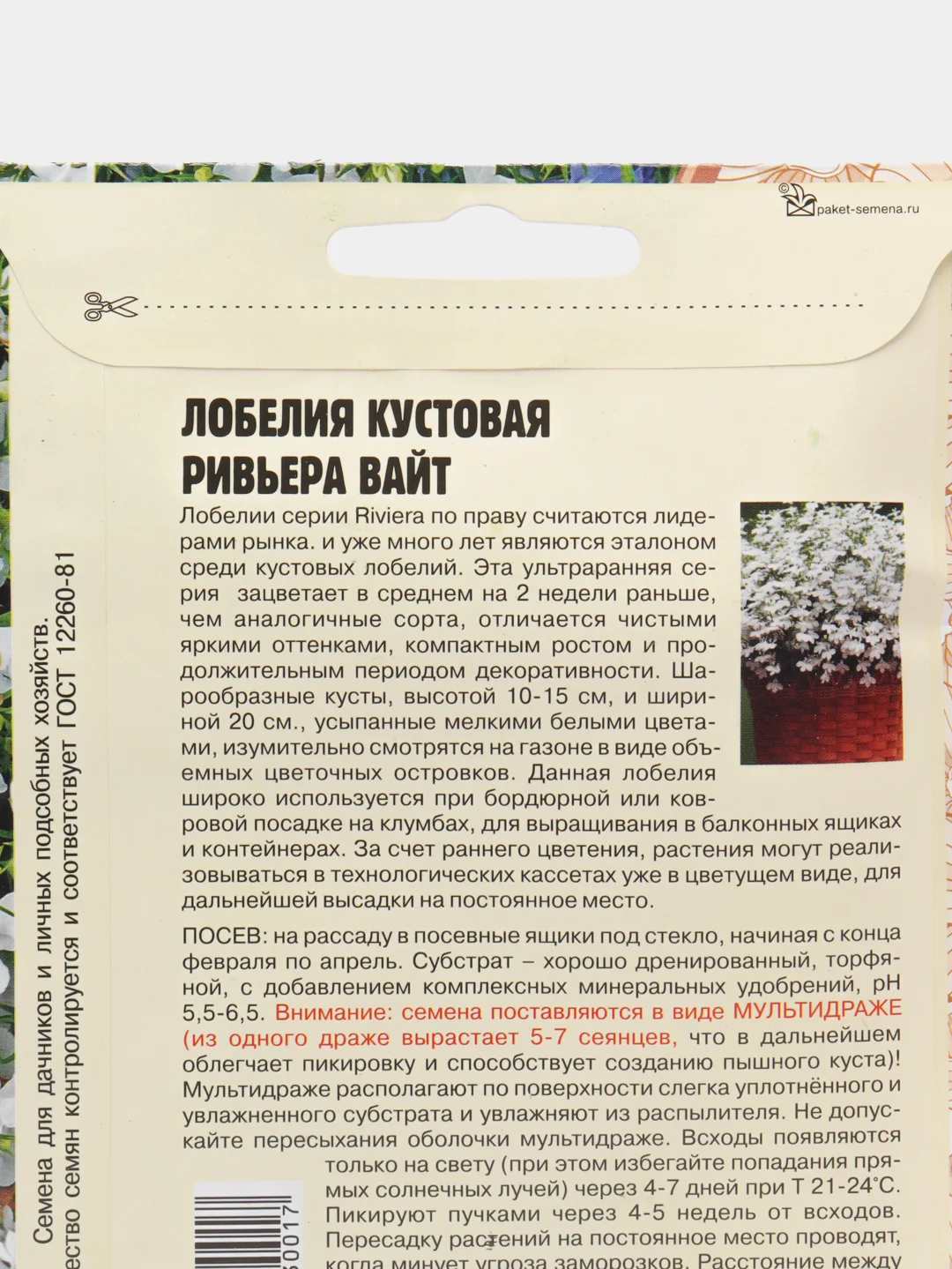 Лобелия кустовая Riviera White F1 (семена)