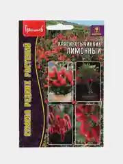 Красивотычинник (каллистемон) Лимонный (семена)