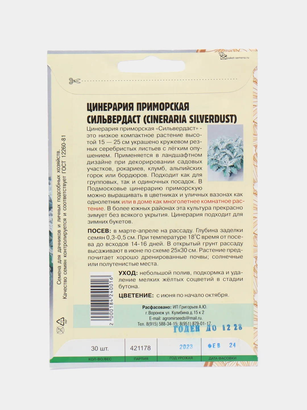 Цинерария приморская (Якобея) Silverdust (семена, цветы)
