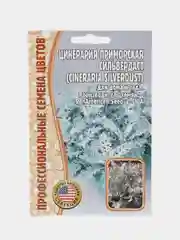 Цинерария приморская (Якобея) Silverdust (семена, цветы)