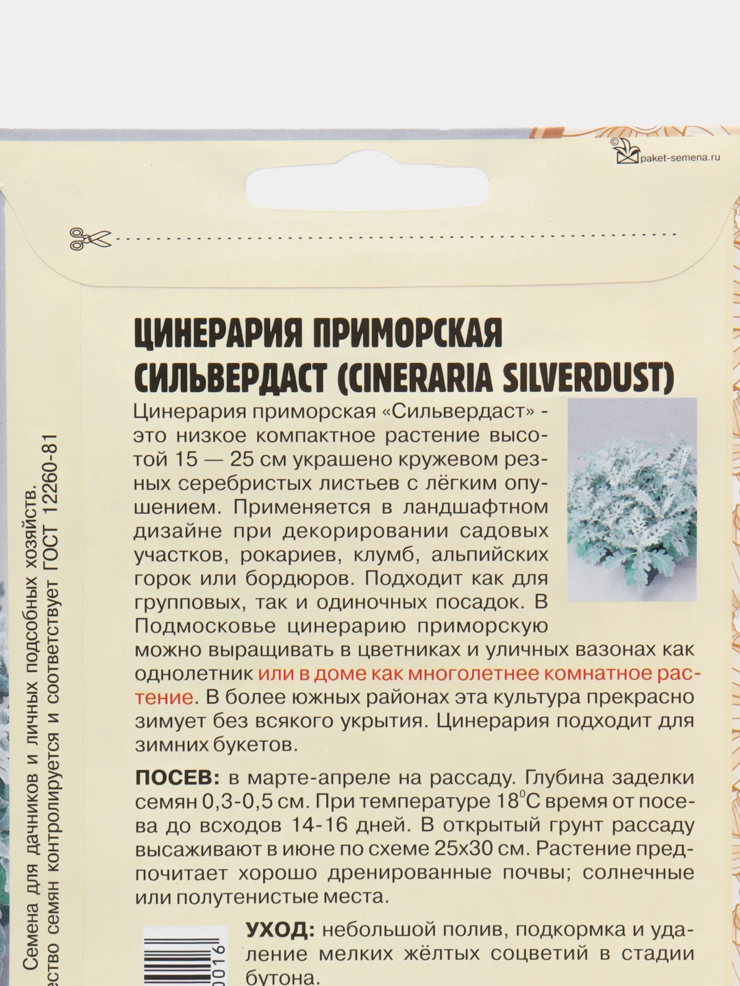 Цинерария приморская (Якобея) Silverdust (семена, цветы)