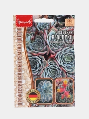 Эхеверия Peacockii (семена)