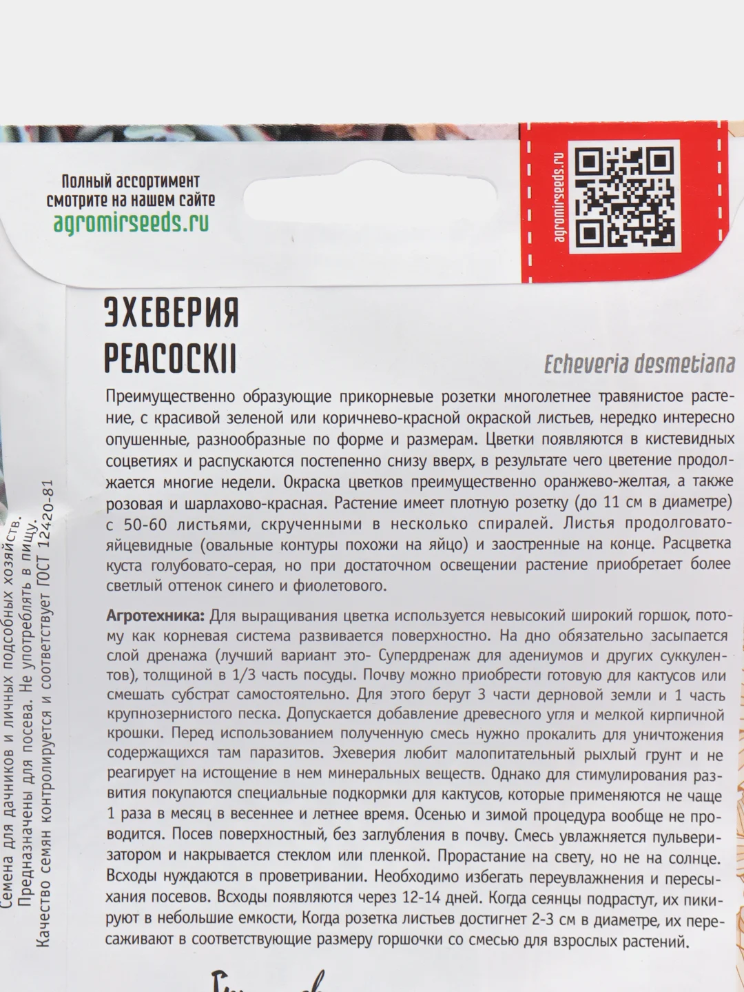 Эхеверия Peacockii (семена)