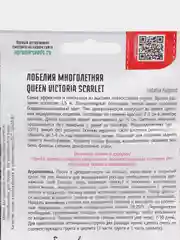 Лобелия многолетняя Queen Victoria Scarlet (семена)