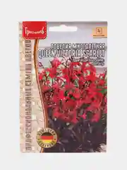 Лобелия многолетняя Queen Victoria Scarlet (семена)