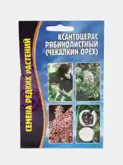 Ксантоцерас рябинолистный Чекалкин орех (семена)