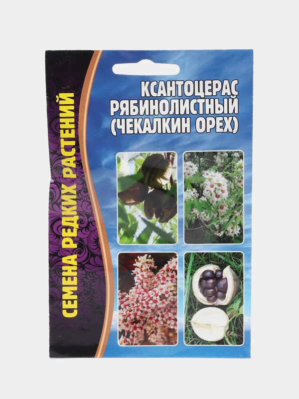 Ксантоцерас рябинолистный Чекалкин орех (семена)