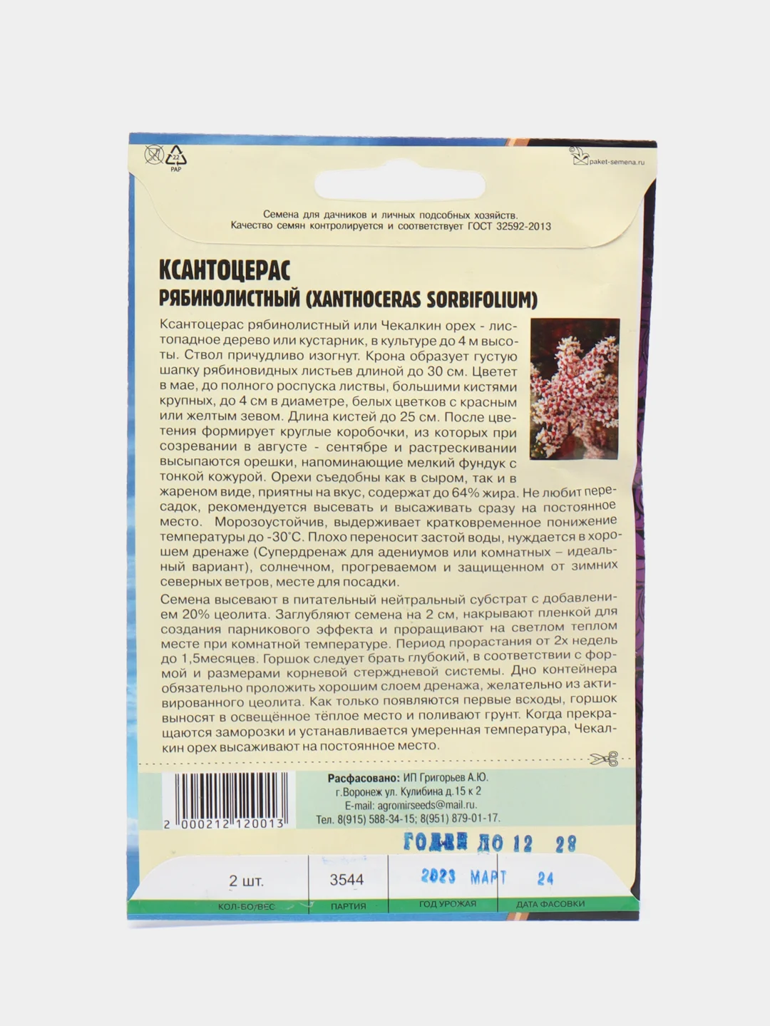 Ксантоцерас рябинолистный Чекалкин орех (семена)