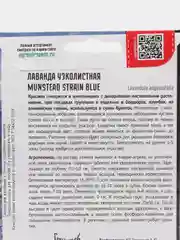 Лаванда узколистная Munstead Strain Blue (семена)