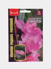 Рододендрон Смирнова (семена, цветы)