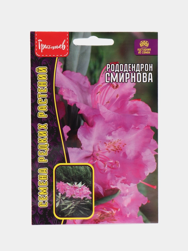 Рододендрон Смирнова (семена, цветы)
