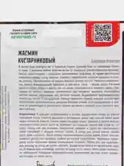 Жасмин Кустарниковый (семена,цветы)