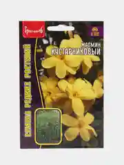 Жасмин Кустарниковый (семена,цветы)