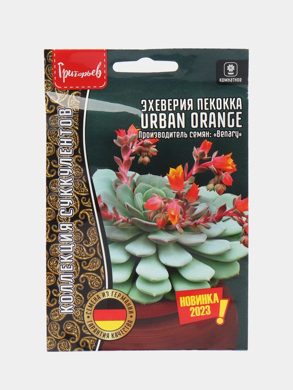 Эхеверия пекокка Urban Orange (семена)