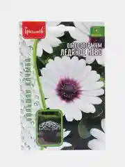 Остеоспермум Ледяное Небо (семена, цветы)