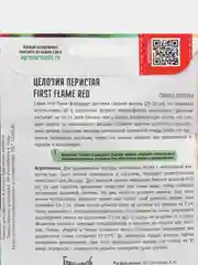 Целозия перистая First Flame Red (семена, цветы)