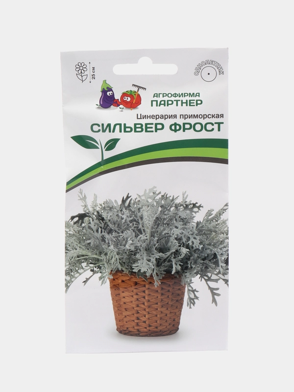 Цинерария Сильвер фрост партнер (семена,цветы)