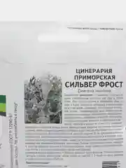 Цинерария Сильвер фрост партнер (семена,цветы)