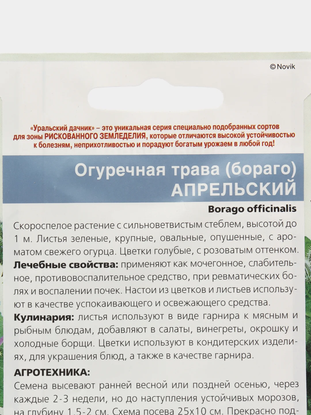 Огуречная трава (бораго) Апрельский (семена,цветы)