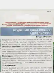 Огуречная трава (бораго) Апрельский (семена,цветы)