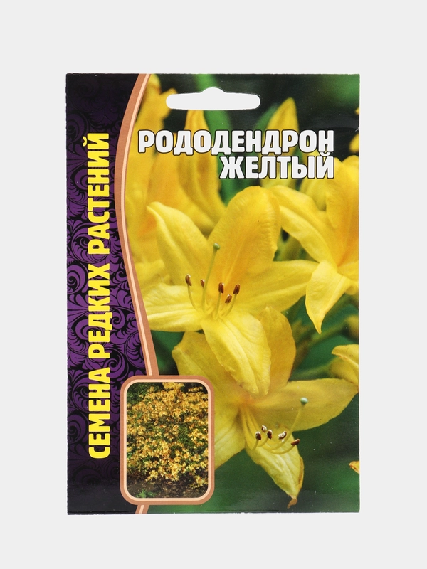 Рододендрон Жёлтый (семена, цветы)