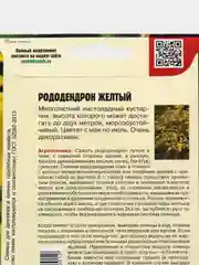Рододендрон Жёлтый (семена, цветы)