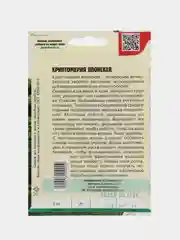 Криптомерия Японская (семена)