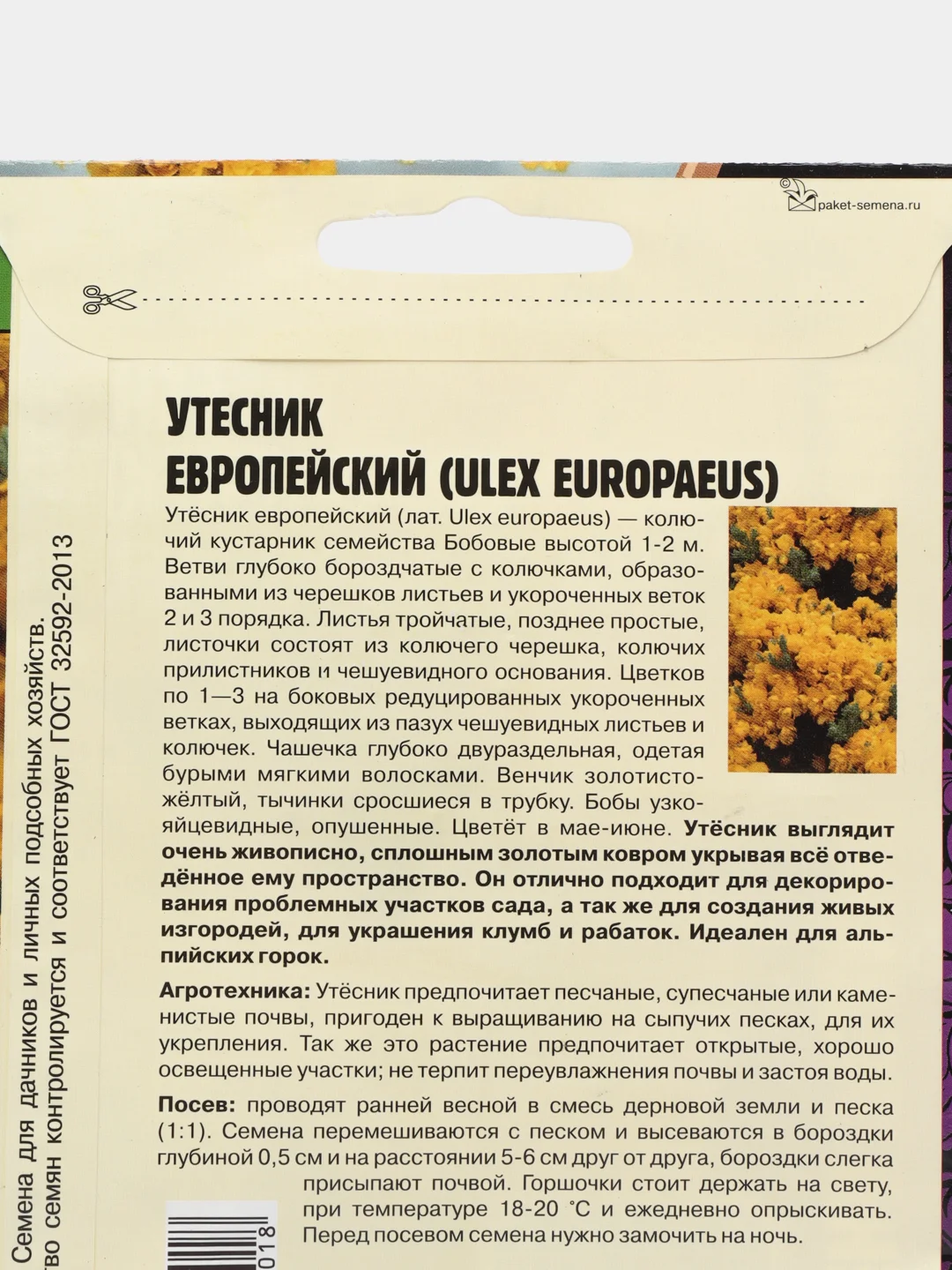 Утесник Европейский (семена, цветы)
