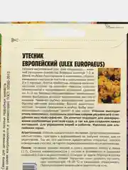 Утесник Европейский (семена, цветы)