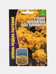 Утесник Европейский (семена, цветы)
