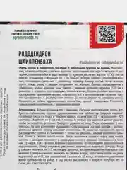 Рододендрон Шлиппенбаха (семена, цветы)