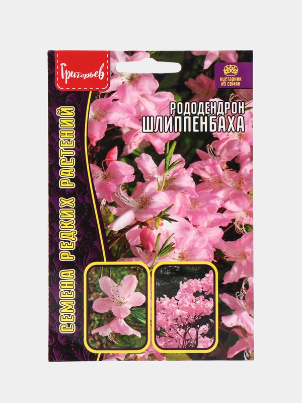 Рододендрон Шлиппенбаха (семена, цветы)