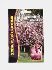 Магнолия Суланжа (семена)
