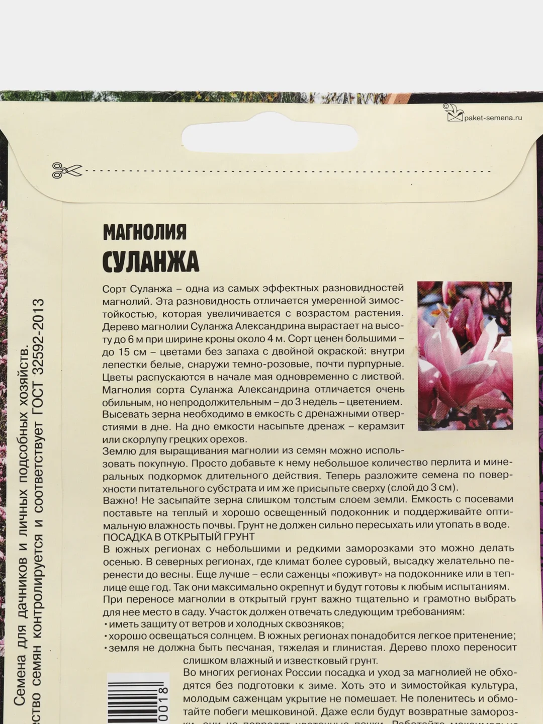 Магнолия Суланжа (семена)