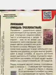 Луизиания Миндаль трехлопастный (семена)
