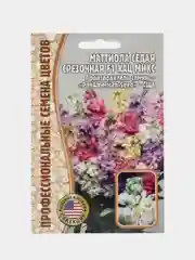 Маттиола седая (левкой) Katz Mix F1 (семена, цветы)