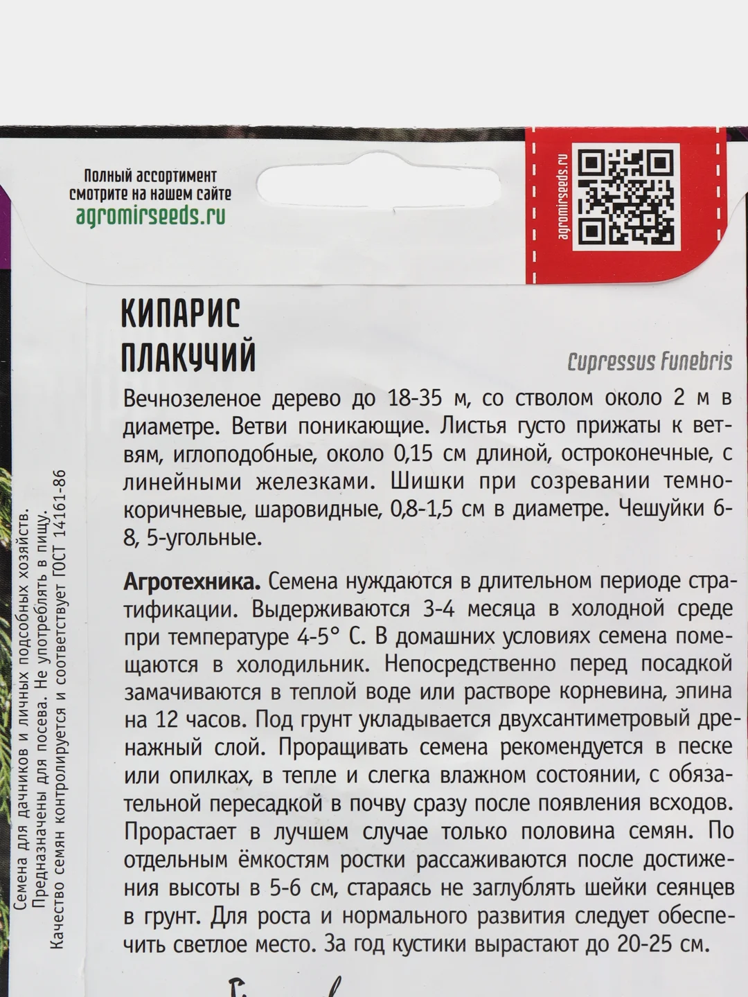 Кипарис Плакучий (семена,цветы)