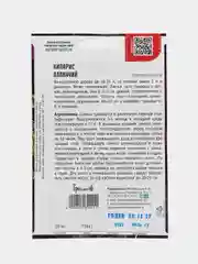Кипарис Плакучий (семена,цветы)